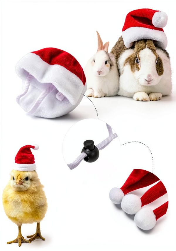 Christmas Pet Costume Set 12pcs Red Santa Hat & Scarf by KIMOBER-2