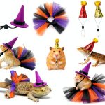Lizard Costume Set ZHENYOUBML Tutu Skirts & Hats for Small Pets-0