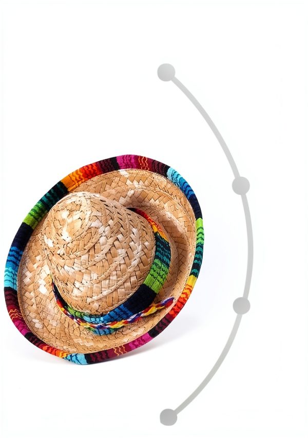 Bearded Dragon Hat by TUOSHYI Straw Pet Apparel Mini with Rainbow Brim-2