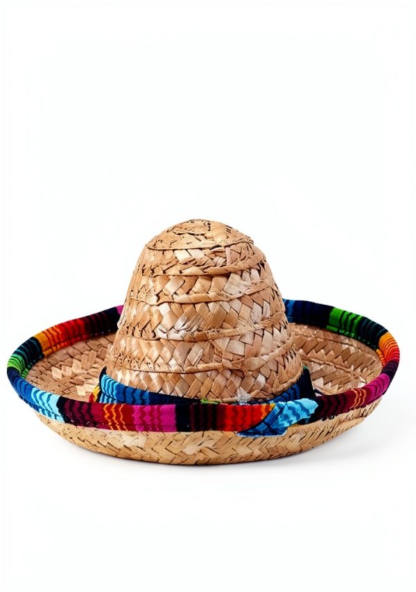 Bearded Dragon Hat by TUOSHYI Straw Pet Apparel Mini with Rainbow Brim-1