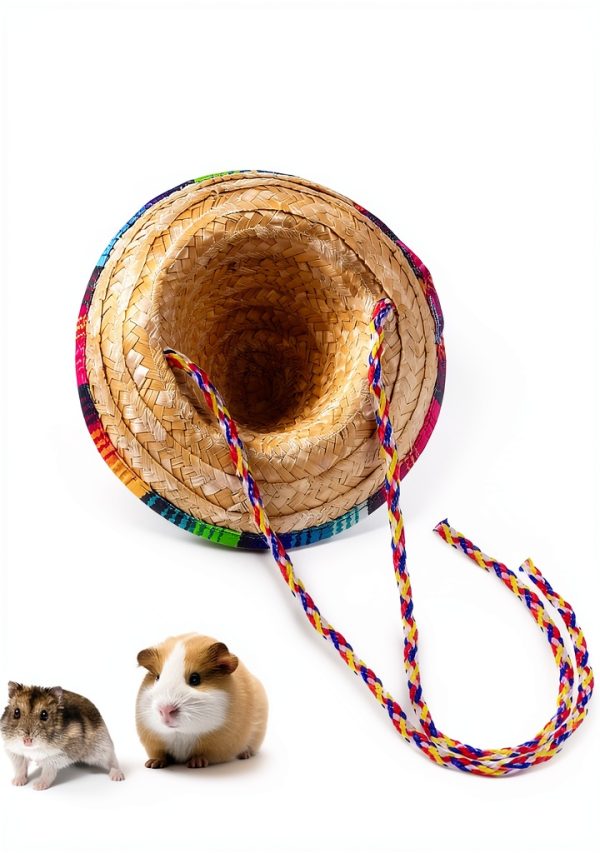 Bearded Dragon Hat by TUOSHYI Straw Pet Apparel Mini with Rainbow Brim-3