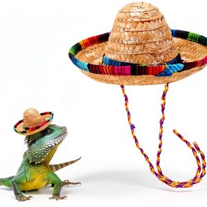 Bearded Dragon Hat by TUOSHYI Straw Pet Apparel Mini with Rainbow Brim-0
