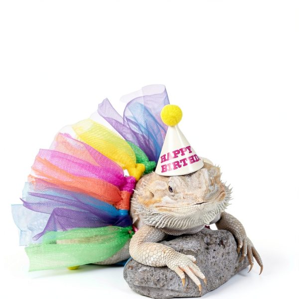 Bearded Dragon Hats by Wodison Adjustable Tutu Skirt Set for Parties-3