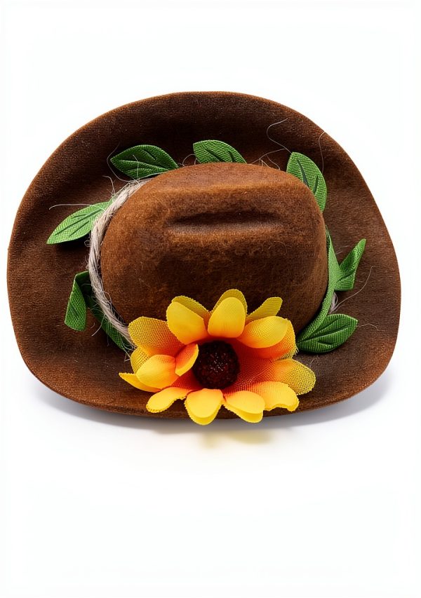 Chicken Hats 2Pcs Tiny Cowboy Hat for Small Pets by LXLVOUEG-2