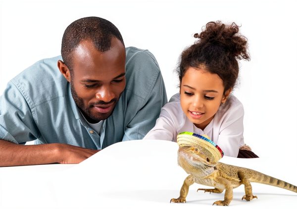 Bearded Dragon Hat by TUOSHYI Straw Pet Apparel Mini with Rainbow Brim-4