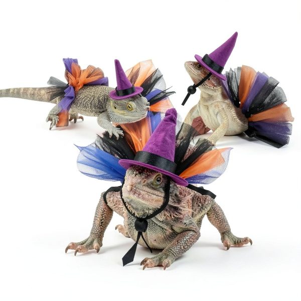 Lizard Costume Set ZHENYOUBML Tutu Skirts & Hats for Small Pets-2