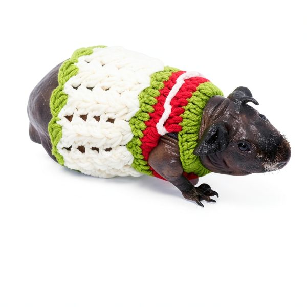 Guinea Pig Sweater SEZDEKI Hand Knitted Wool Warm Vest for Small Pets-3