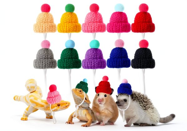 Kajaia 10 Pieces Pet Snake Christmas Hat Hamster Hat with Adjustable Elastic Strap, Snake Ball Hamster Python Lizard Guinea Pig Knitted with Pompon for Small Reptile Animal Decoration Accessories-0