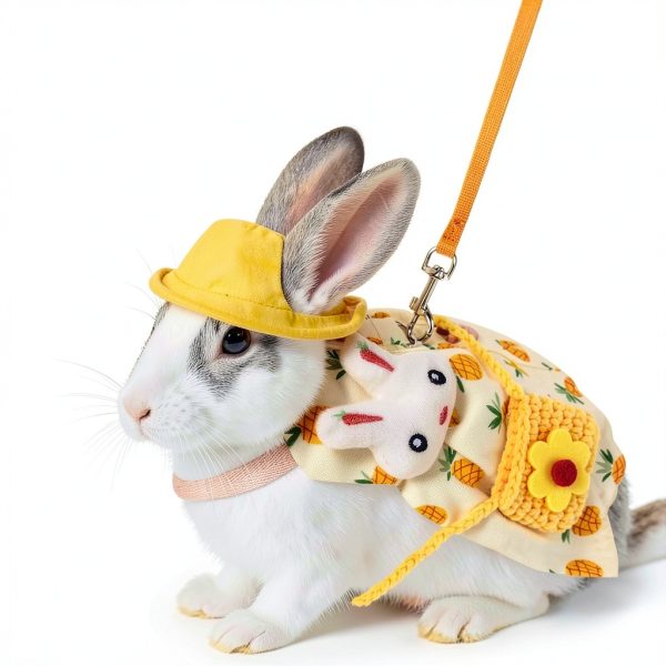 Rabbit Dress Bunny 2 Set, Rabbit Costume, Adjustable Pet Clothes with Leash, Hat, Mini Bag and Sling, Small Animal Accessories, Suitable for Rabbits, Ferrets, and Squirrels-3