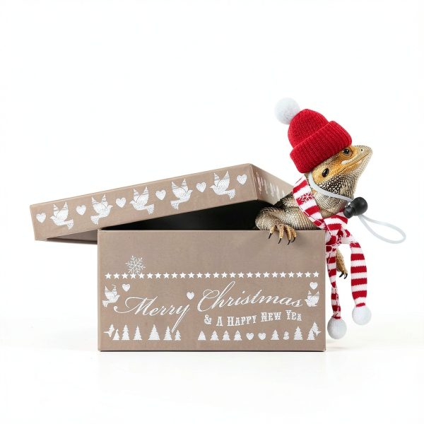 Christmas Small Animal Costume 8 Pack Santa Hat & Scarf Set by MOSTOO-3