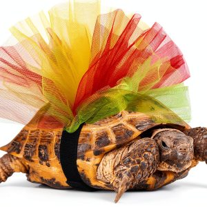 Tortoise Tutu Costume by tinkare – Bright Soft Tulle Dress-0