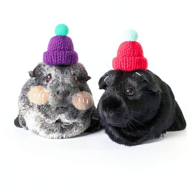 Kajaia 10 Pieces Pet Snake Christmas Hat Hamster Hat with Adjustable Elastic Strap, Snake Ball Hamster Python Lizard Guinea Pig Knitted with Pompon for Small Reptile Animal Decoration Accessories-3