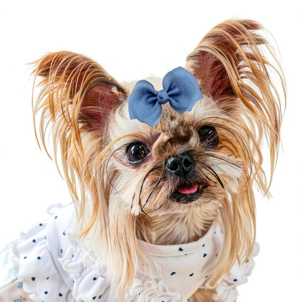 Hair Bows for Chicken by SXYYDSG Pet Apparel 6 Bright Chiffon Colors-4
