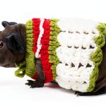 Guinea Pig Sweater SEZDEKI Hand Knitted Wool Warm Vest for Small Pets-0