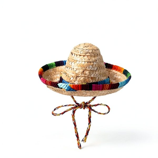 2 Pcs Bearded Dragon Sombrero Hats with Chin Strap, Adjustable Lizard Straw Hat, Mexican Hamster Clothes Small Pet Costume Accessories for Reptile Hamster Leopard Gecko Ferret Guinea Pig-2