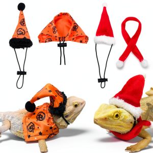 Bearded Dragon Halloween Hat and Cloak Adjustable Costume by ADOGGYGO-0