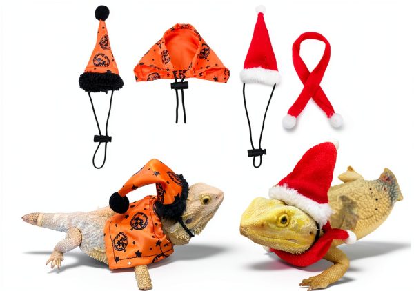 Bearded Dragon Halloween Hat and Cloak Adjustable Costume by ADOGGYGO-0