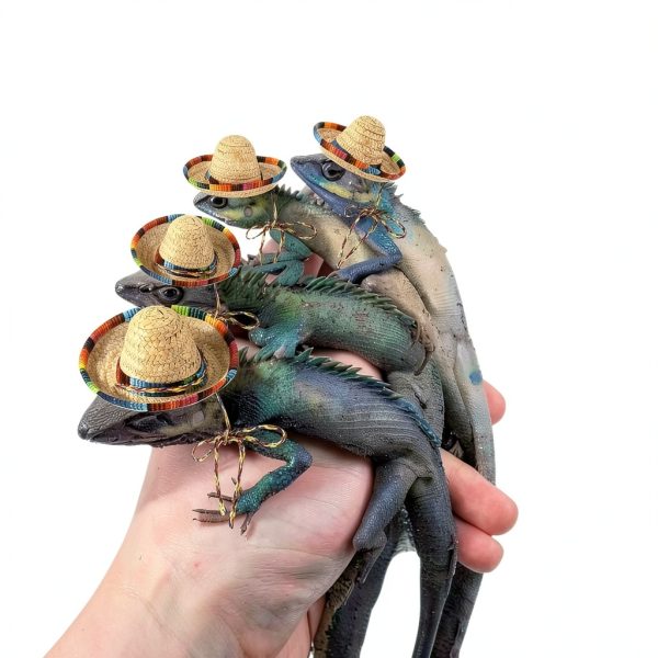 2 Pcs Bearded Dragon Sombrero Hats with Chin Strap, Adjustable Lizard Straw Hat, Mexican Hamster Clothes Small Pet Costume Accessories for Reptile Hamster Leopard Gecko Ferret Guinea Pig-5