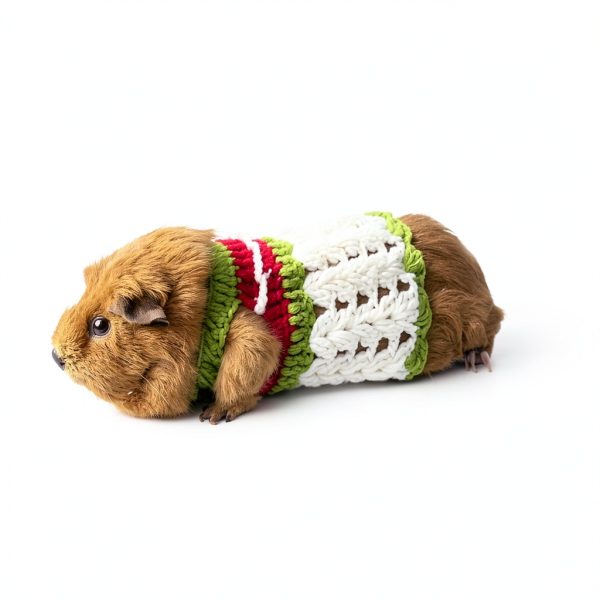 Guinea Pig Sweater SEZDEKI Hand Knitted Wool Warm Vest for Small Pets-7
