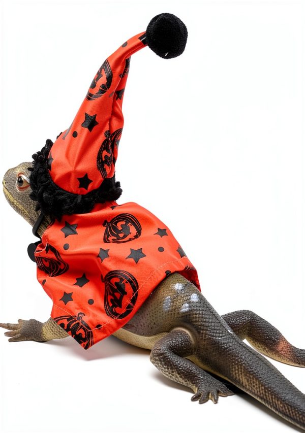 Bearded Dragon Halloween Hat and Cloak Adjustable Costume by ADOGGYGO-3