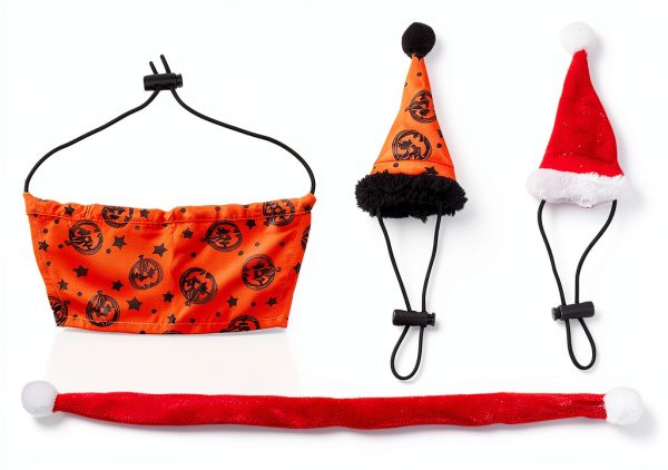 Bearded Dragon Halloween Hat and Cloak Adjustable Costume by ADOGGYGO-2