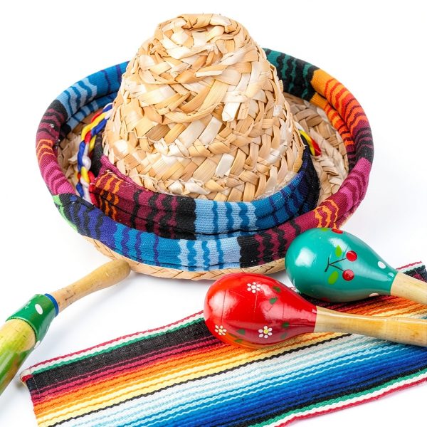 Bearded Dragon Sombrero Hats 2 Pack SEZDEKI Mexican Fiesta Pet Apparel-6