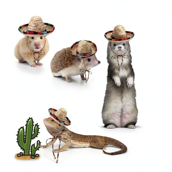 2 Pcs Bearded Dragon Sombrero Hats with Chin Strap, Adjustable Lizard Straw Hat, Mexican Hamster Clothes Small Pet Costume Accessories for Reptile Hamster Leopard Gecko Ferret Guinea Pig-6