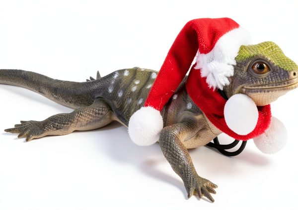Bearded Dragon Halloween Hat and Cloak Adjustable Costume by ADOGGYGO-4