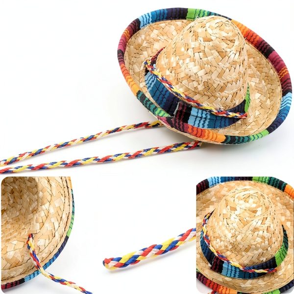 Bearded Dragon Sombrero Hats 2 Pack SEZDEKI Mexican Fiesta Pet Apparel-2